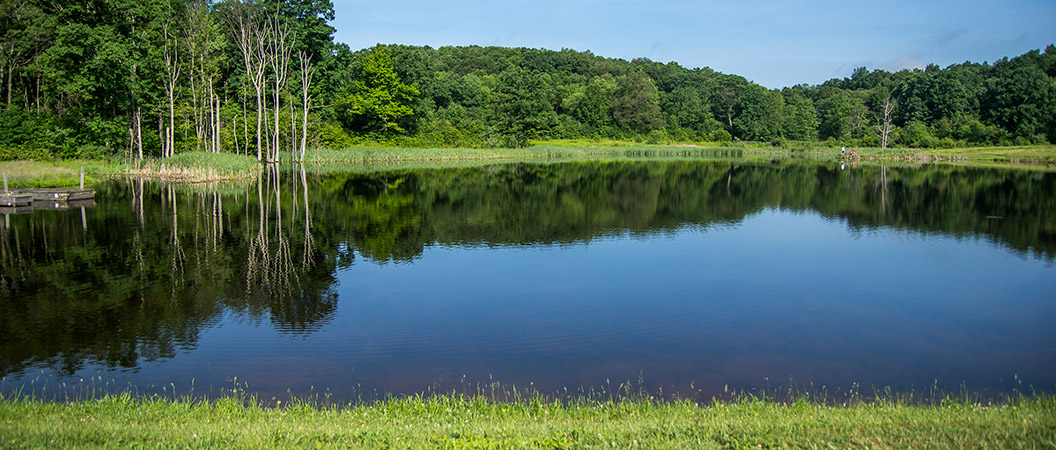 Tent sites at Hickory Hollow Campground